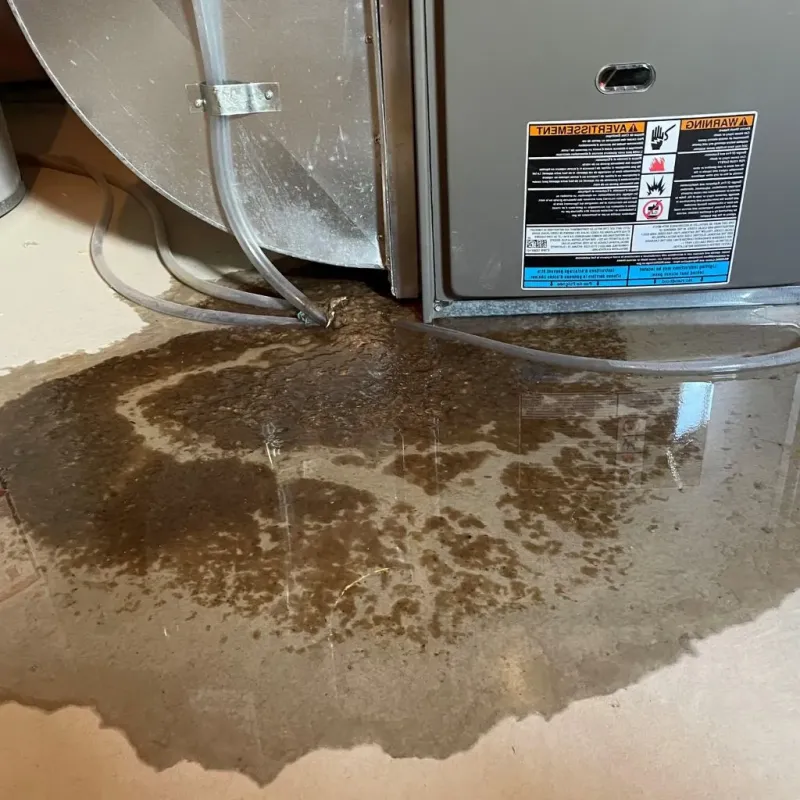 Pipe Burst and Leak Restoration in Minden, NV